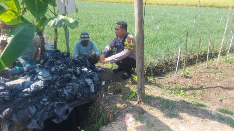 Bhabinkamtibmas Desa Carat Sambangi Petani Padi, Dorong Perawatan Tanaman dan Ketahanan Pangan