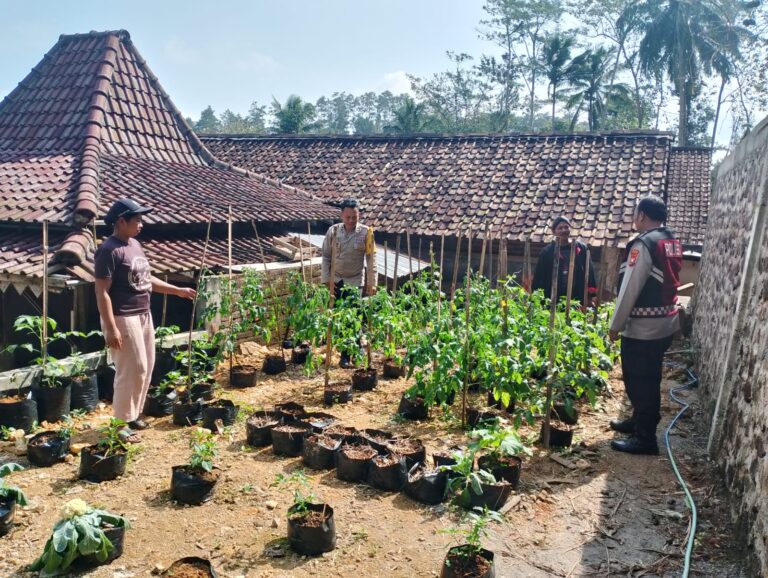 Bhabinkamtibmas Tumpuk Ajak Warga Optimalkan Kebun, Dukung Ketahanan Pangan dan Ekonomi Keluarga