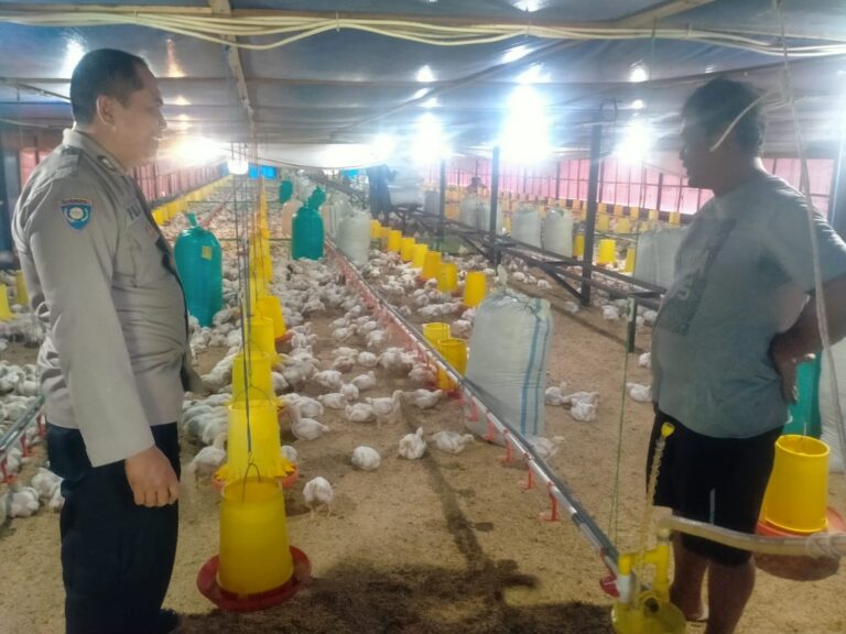 Bhabinkamtibmas Galak Sambangi Peternak Ayam, Dorong Peternakan Produktif dan Kesejahteraan Warga