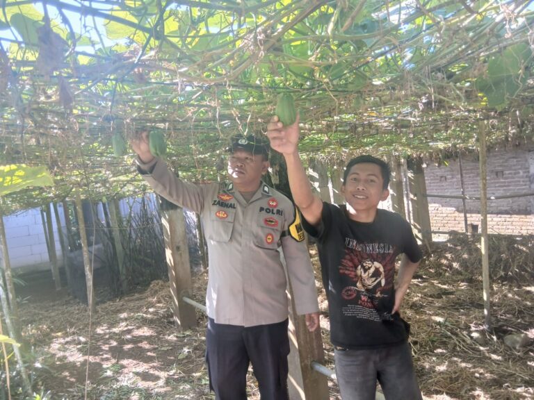 Bhabinkamtibmas Pudak Kulon Motivasi Petani Labu Siam, Perkuat Ketahanan Pangan dan Ekonomi Desa